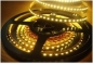LED Flex Schlauch 5 Meter 60 LED / Meter LED 3528 Serie Farbe: weiss Outdoor