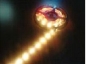 LED Flex Schlauch 5 Meter 60 LED / Meter LED 5050 Serie  RGB Outdoor