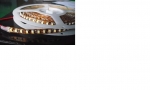 LED Flex Schlauch 5 Meter 120 LED / Meter LED 3528 Serie Farbe: warmweiss IP20